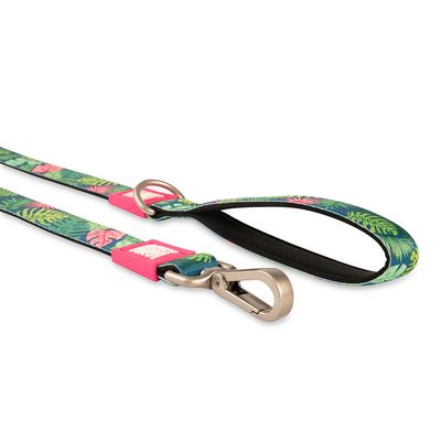 Max & Molly Kurzleine Tropical