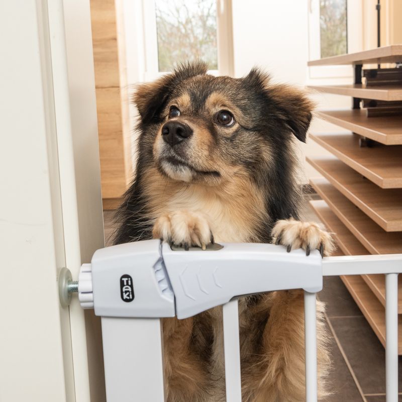 TIAKI Weißes Hundegitter mit 7 cm Verlängerung