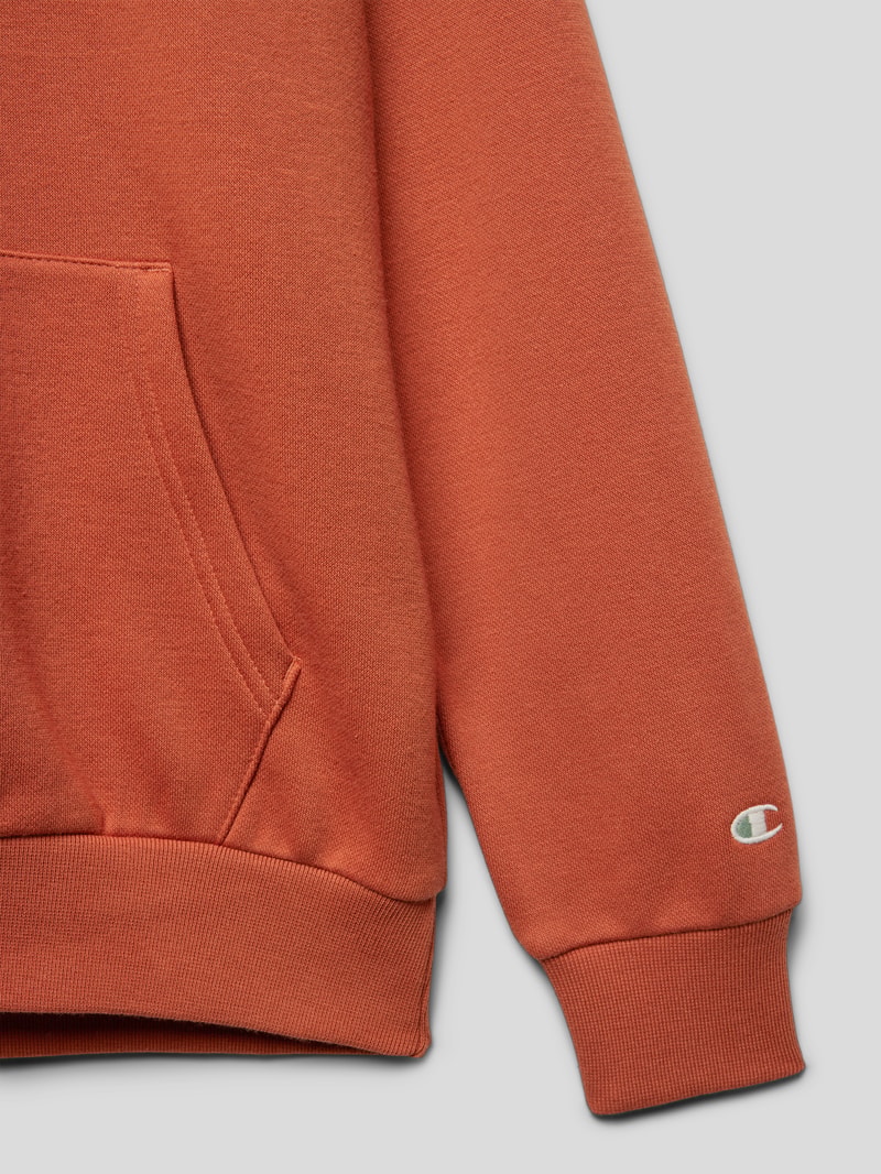 Hoodie mit Label-Stitching Modell 'Rochester' in terrakotta