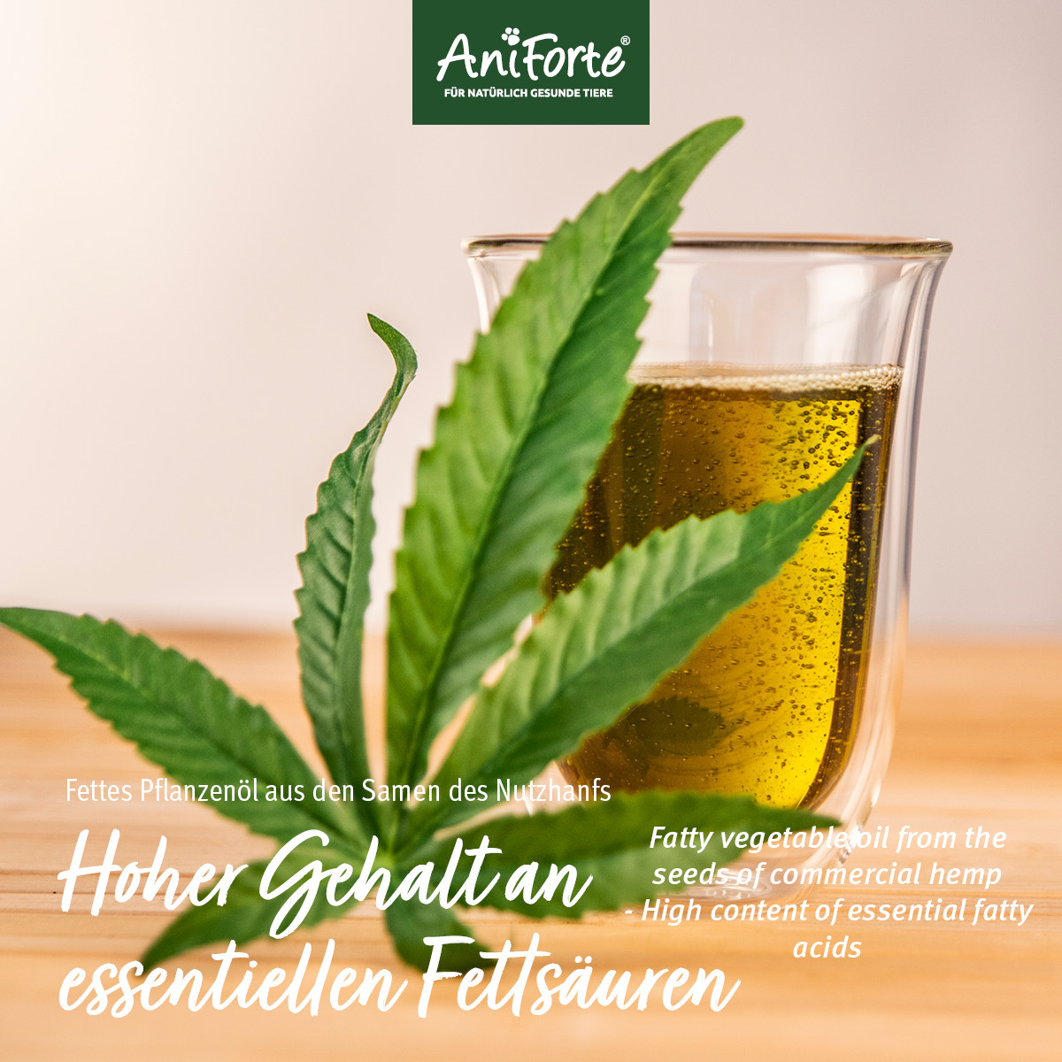 Aniforte Ergänzungsfutter & Aufzucht Aniforte Bio Hanföl 500 ml