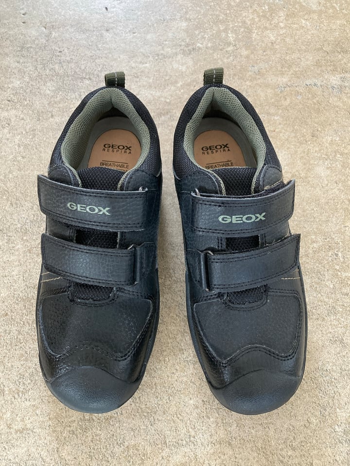 Geox Sneakers 