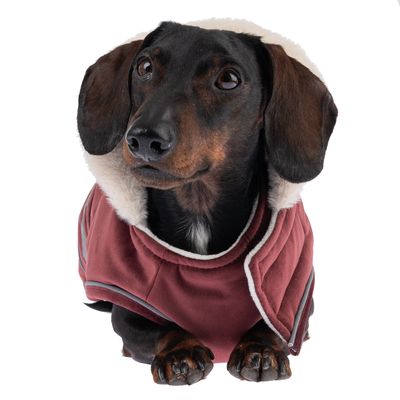 TIAKI Hundemantel Ellmo