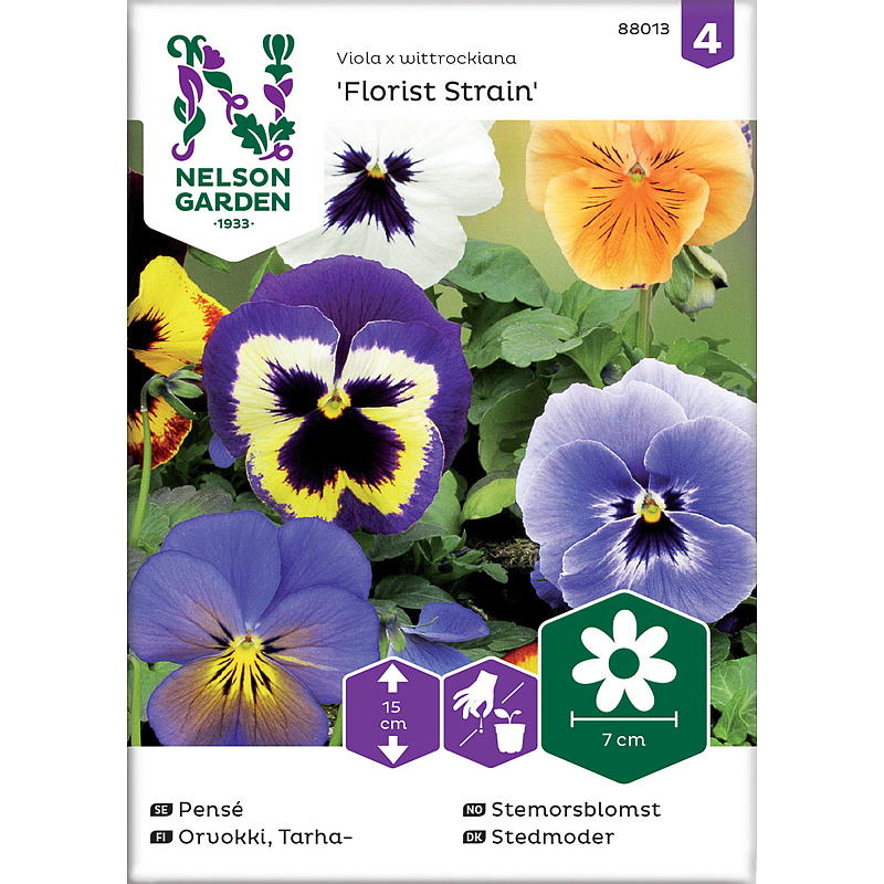 Nelson garden Frø Stemorsblomst Florist Strain, storblom