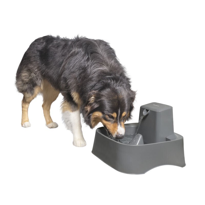 PetSafe Trinkbrunnen PetSafe Trinkbrunnen 7,5 l