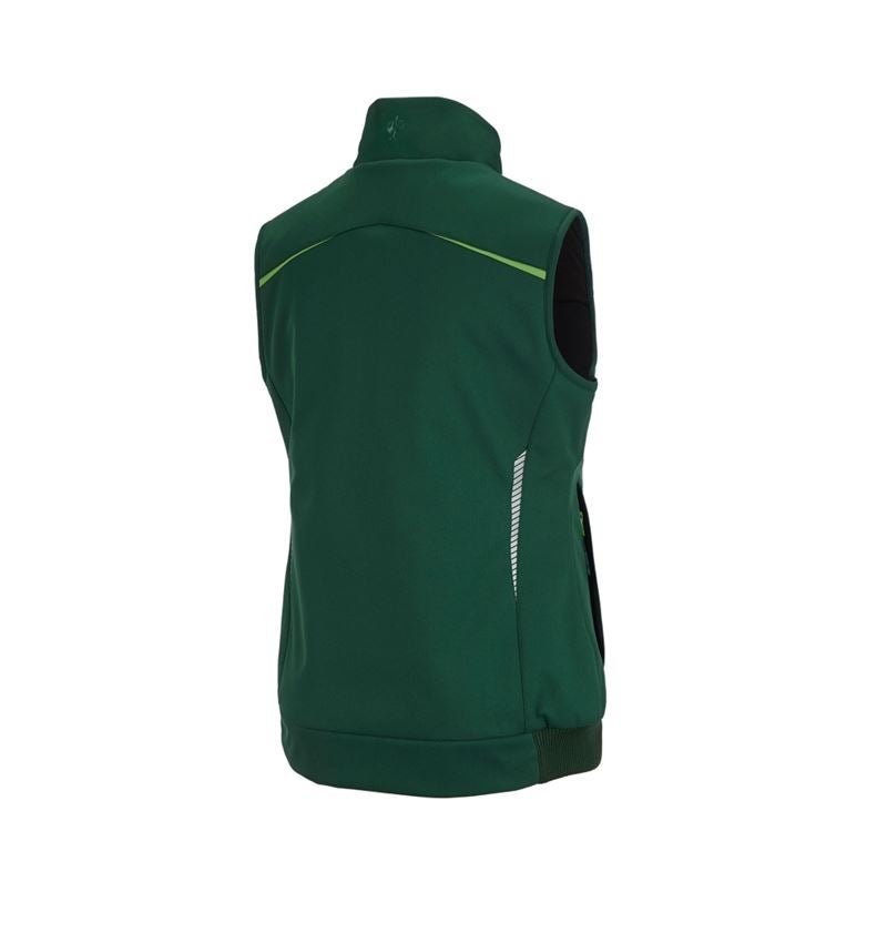 Winter Softshellweste e.s.motion 2020, Damen