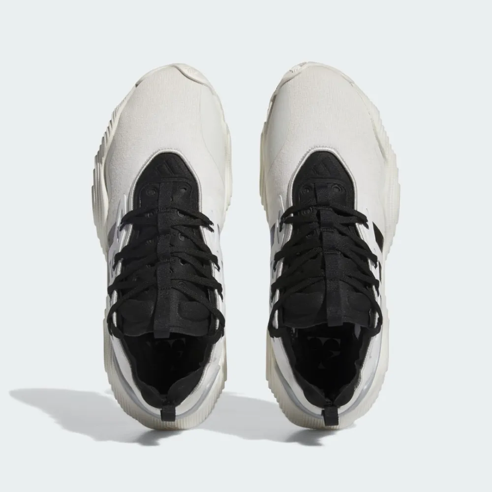 adidas Trae Young 3 IF5592 / grau
