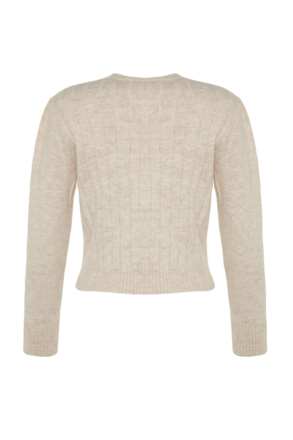 Trendyol Collection  Steinweiche, strukturierte Strickjacke mit Stickerei-Details TWOAW24HI00267