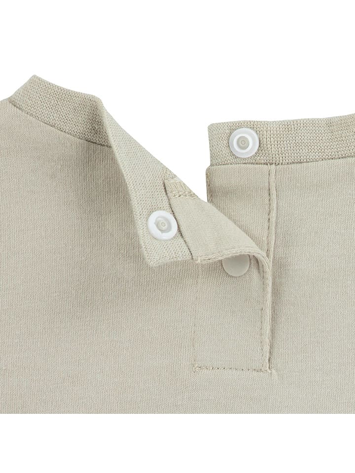Converse Jumper in Beige günstig kaufen