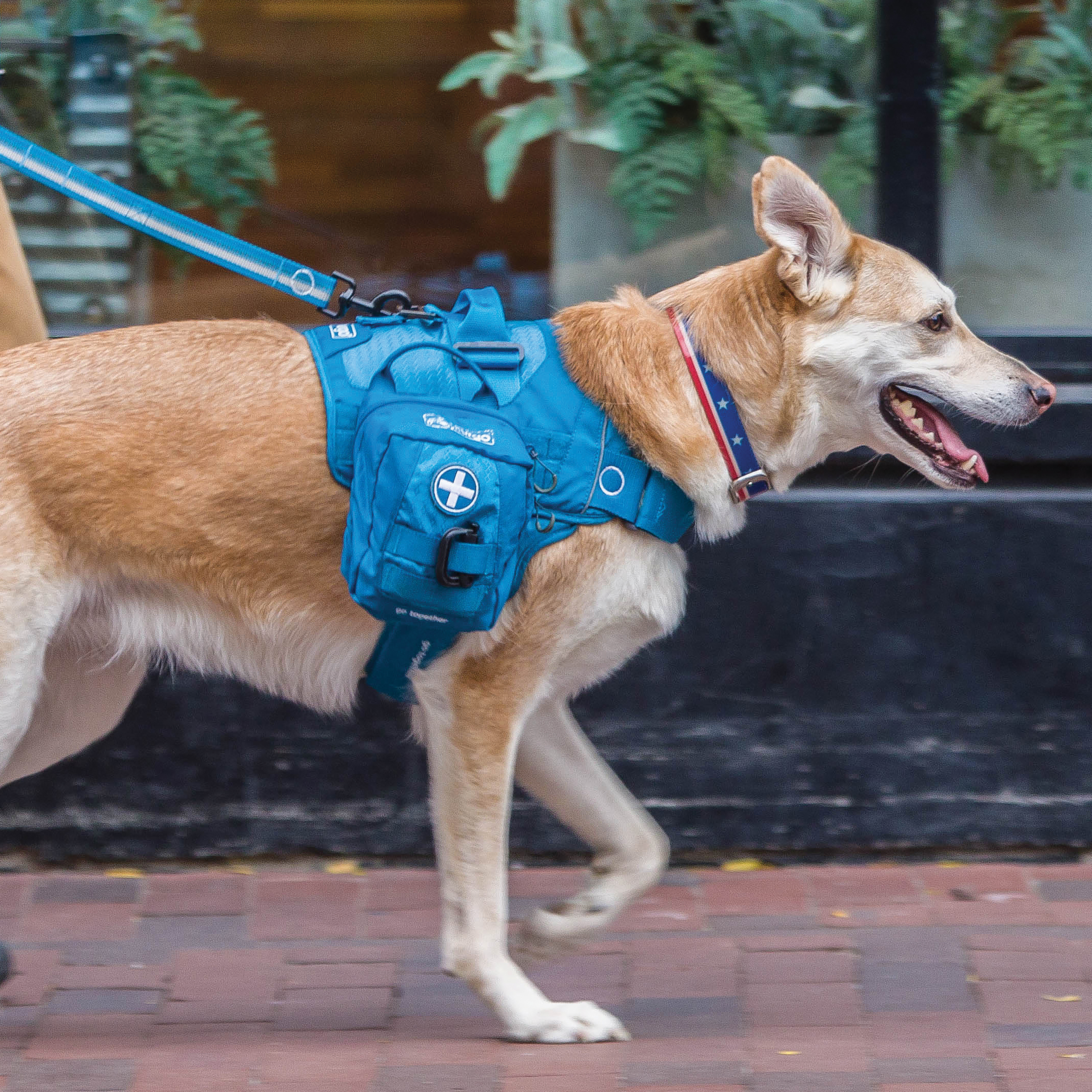 Kurgo Fellpflege Kurgo RSG Erste-Hilfe-Set für Hunde