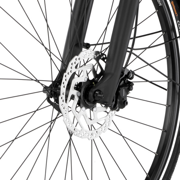 Trekking E-Bike Viator 6.0i, Damen