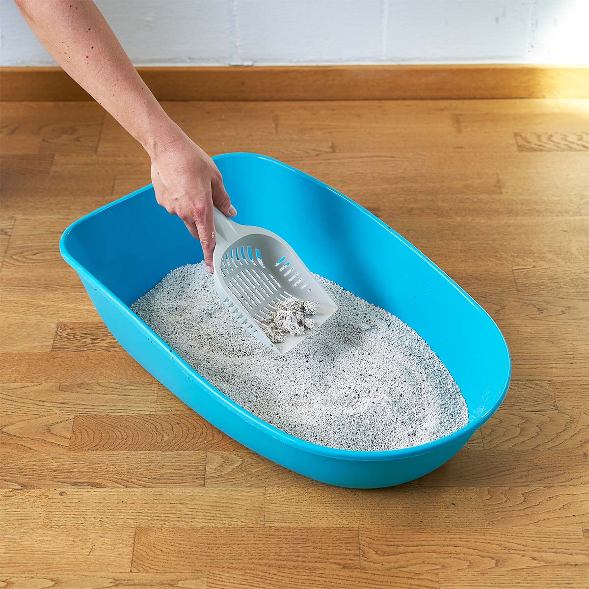 ZooRoyal Tigrooo Carbon-Fresh günstig kaufen