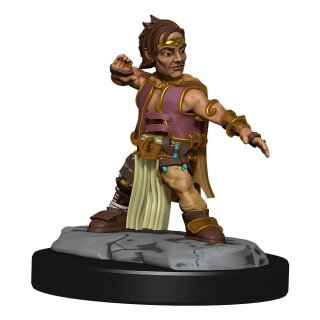 Pathfinder Deep Cuts: Halfing Monk Male (2)