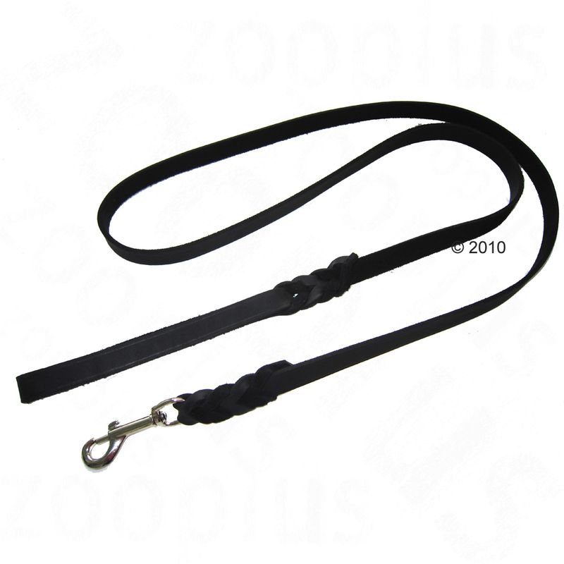 Heim Lederleine mit eingeflochtenem Karabiner - schwarz zu TOP-Preisen