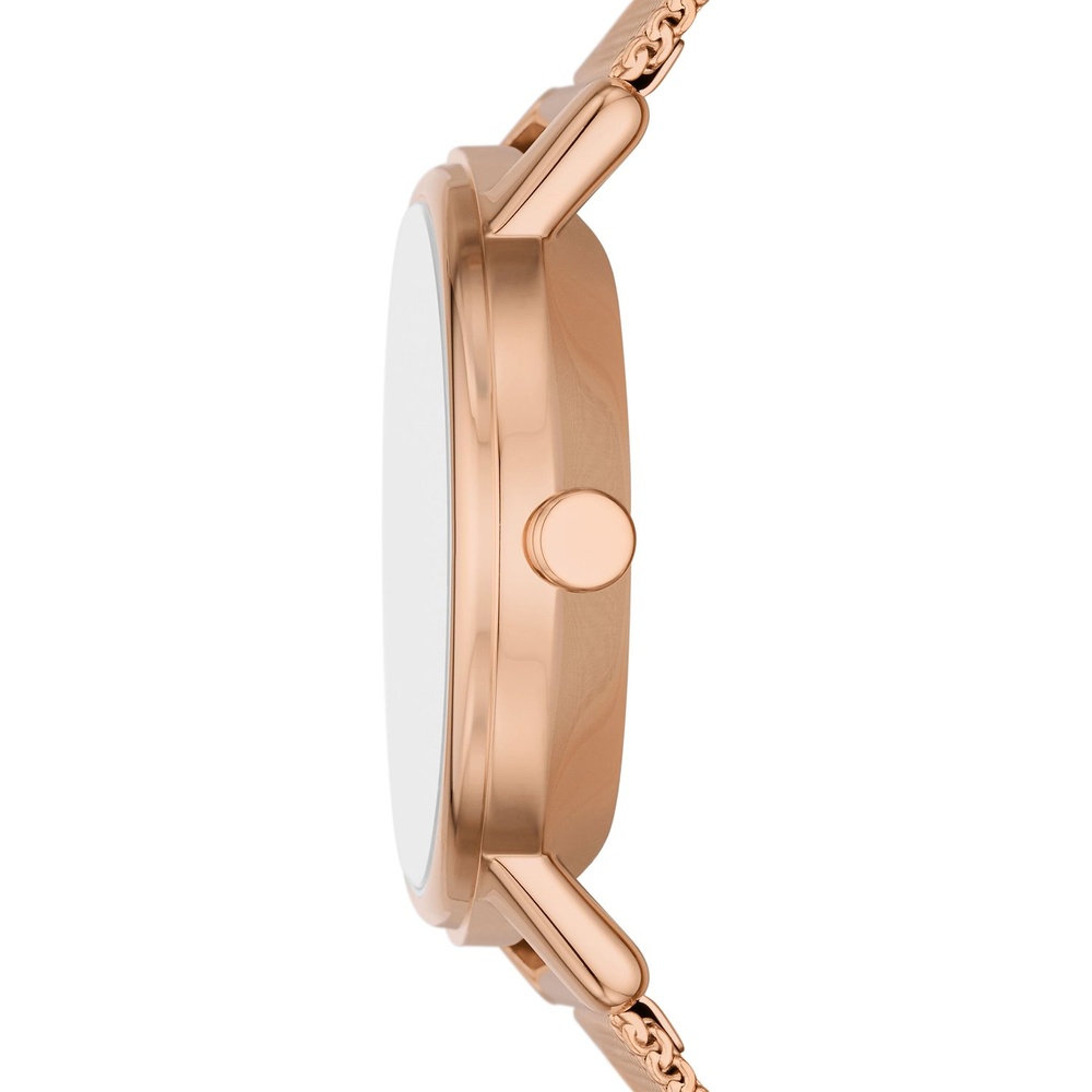 Skagen Montre pour femme Acier inoxydable Montre