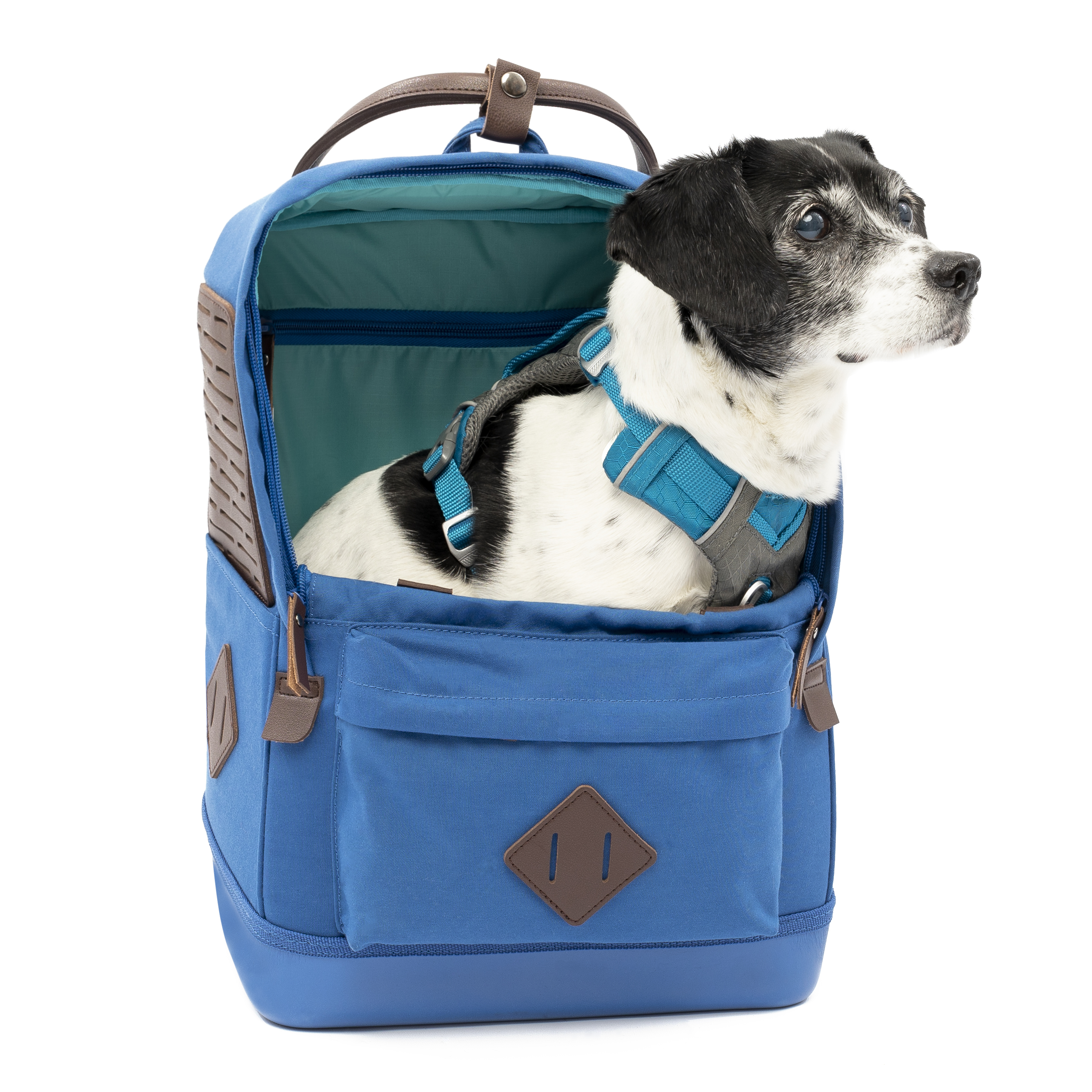 Kurgo Tragetaschen Kurgo Hunderucksack Nomad
