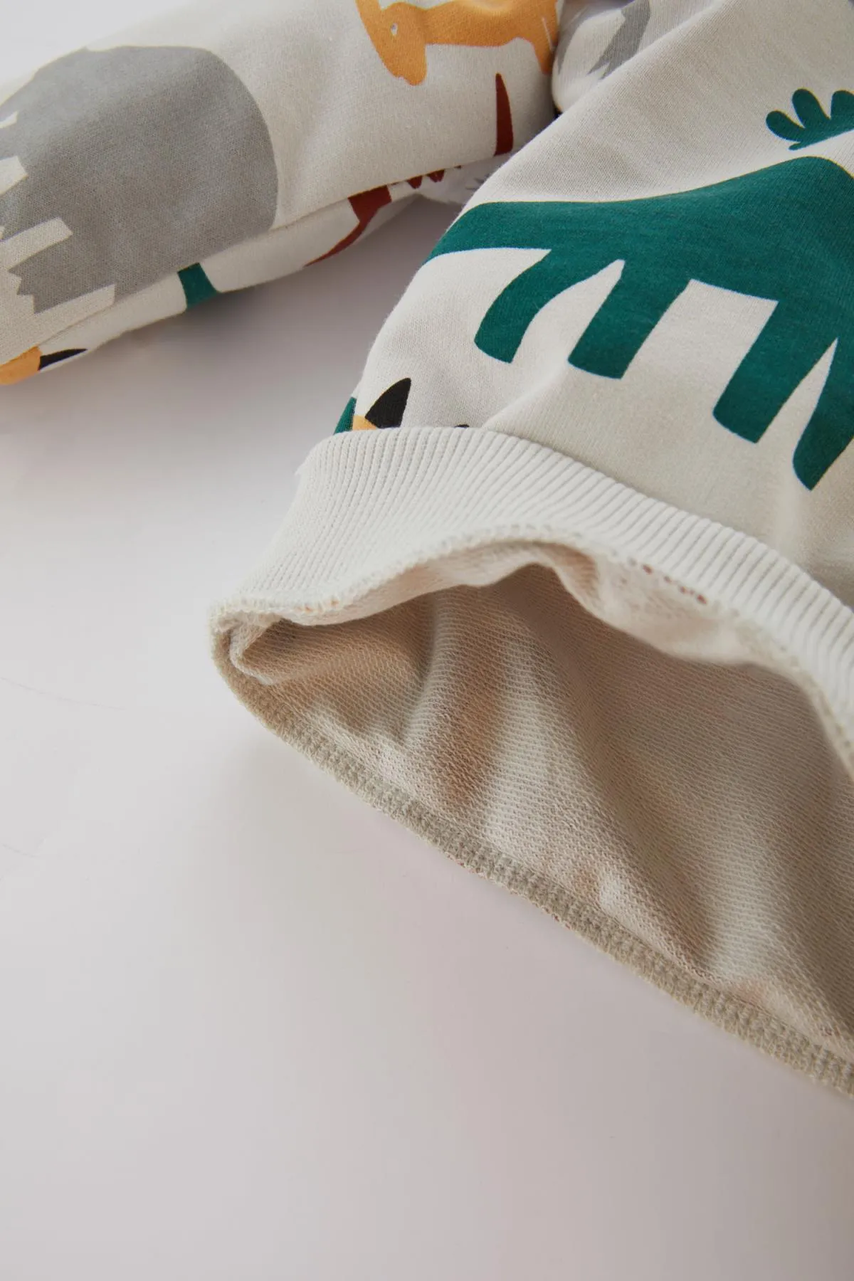 DeFacto  2-teiliges Set mit Sweatshirt und Jogginghose mit Dinosaurier-Aufdruck für Babys (Jungen) B9496a524sp