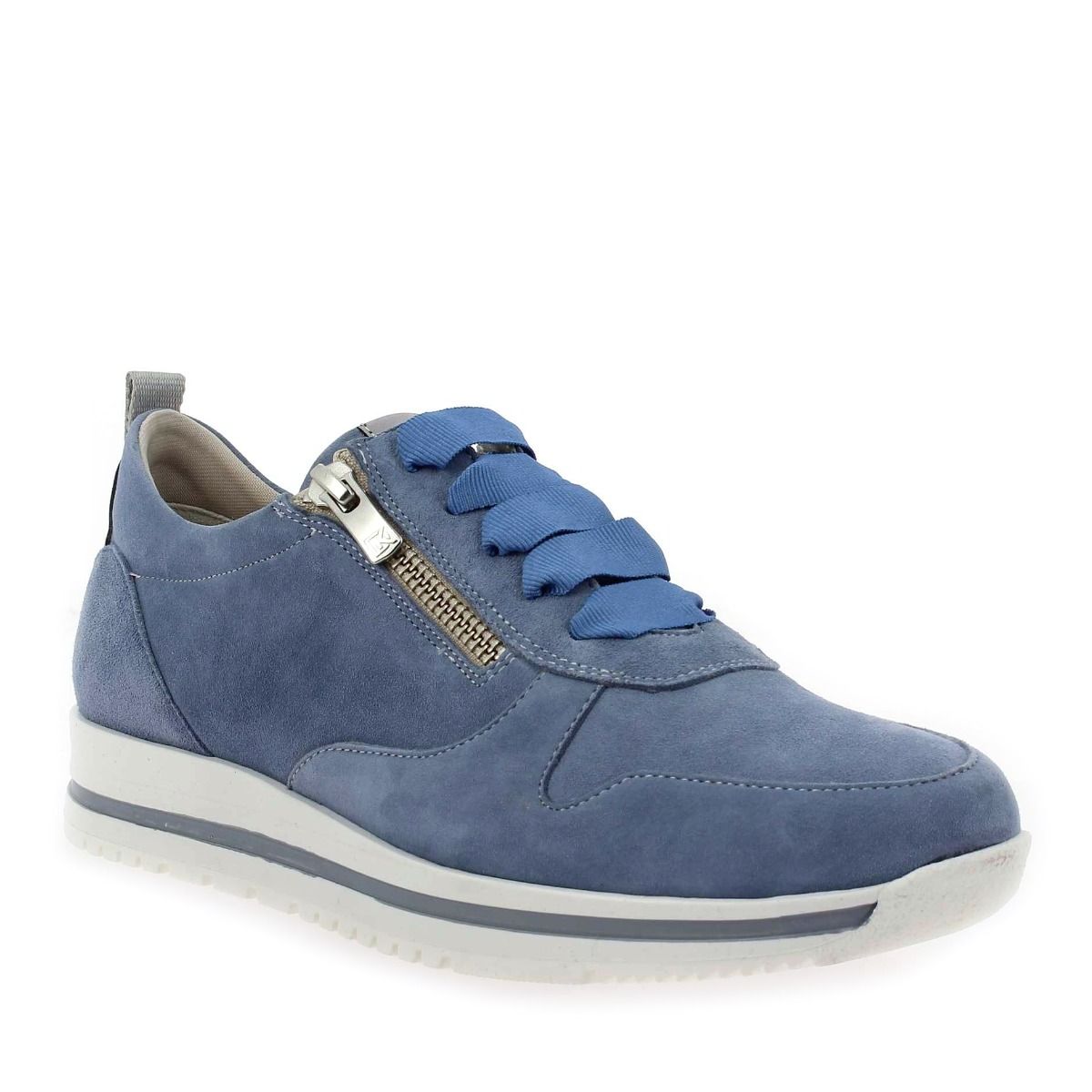 Dorking  D8763 - Bleu