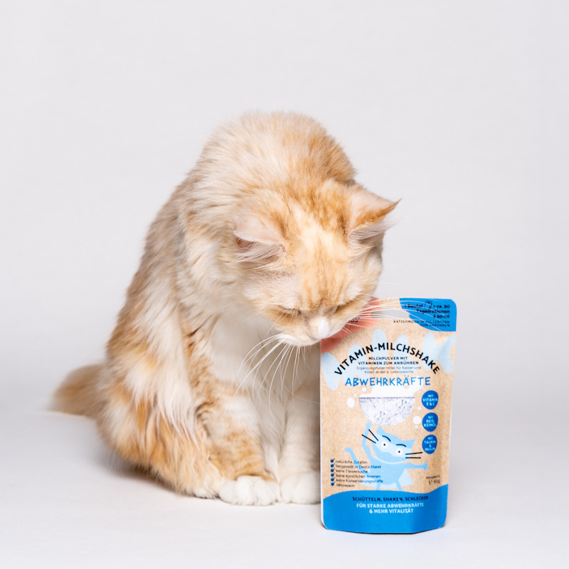 Catlab Katzenmilch & Getränke Catlab Vitamin-Milchshake für Katzen Abwehrkräfte