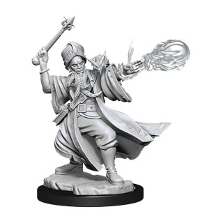D&D Frameworks: Human Wizard Male