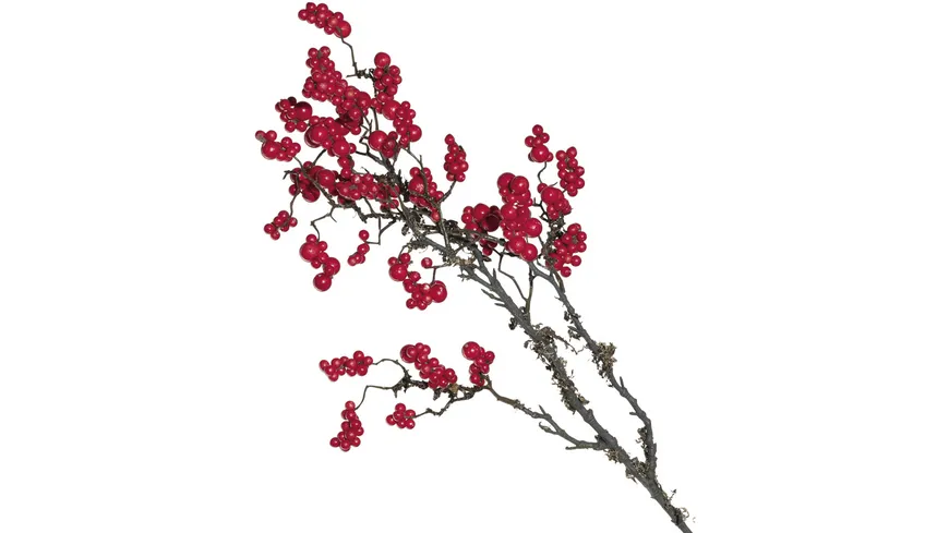 LEONARDO Zweig Beeren CALDO