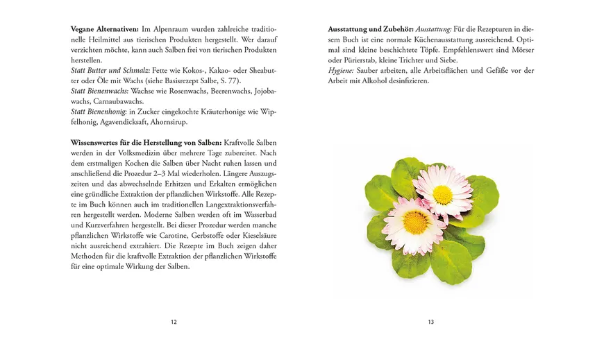 Das kleine Buch: Heilsalben aus Wald und Wiese