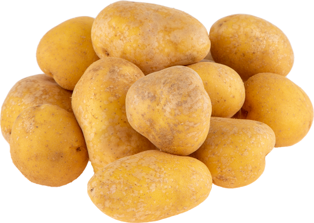 Kartoffeln vorwiegend festkochend