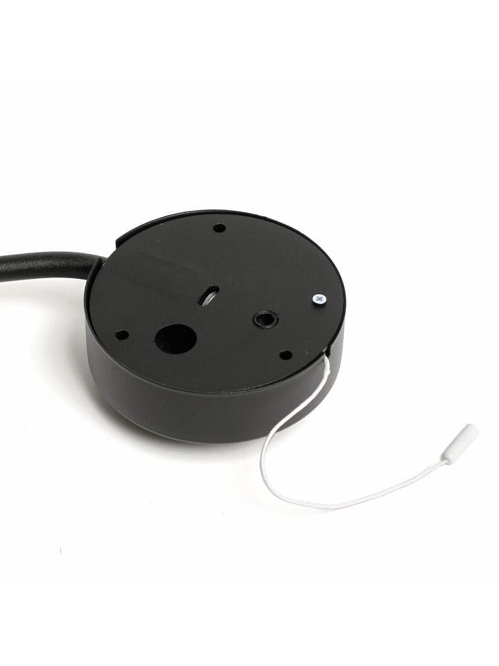 Licht-Erlebnisse Wandlampe in Schwarz günstig kaufen onesize