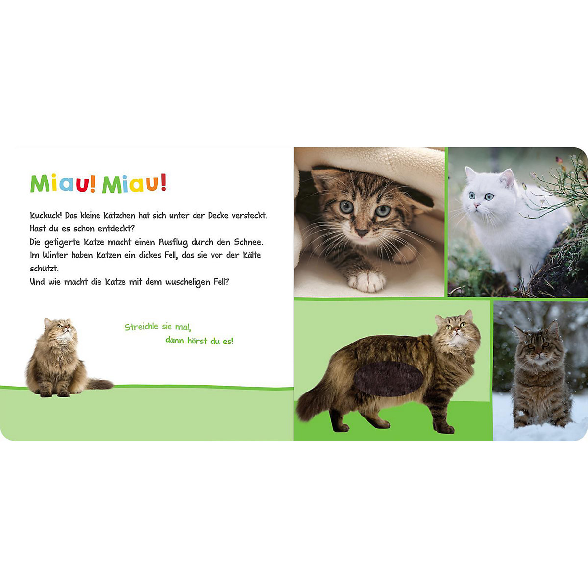 Hör mal rein, wer kann das sein - Kuschelige Tiere