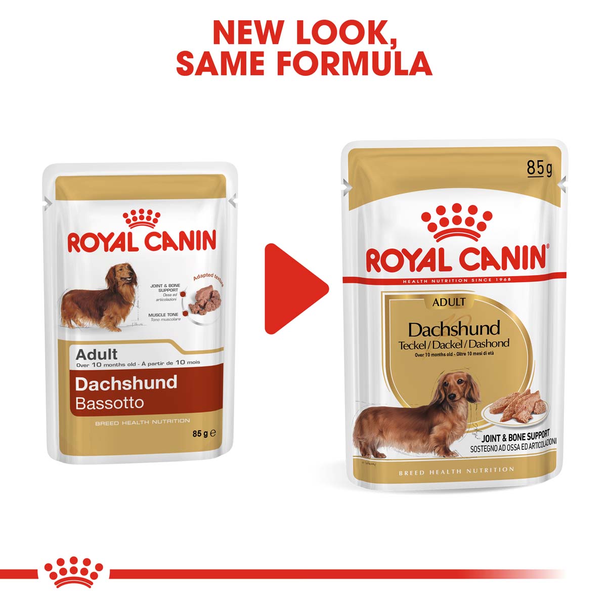 ROYAL CANIN Dachshund Adult Hundefutter nass für Dackel 12x85g