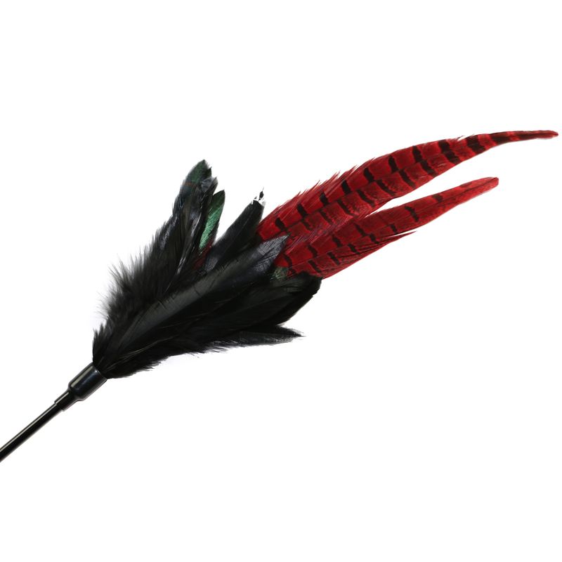 Federwedel Mystic Long Feather zu TOP-Preisen