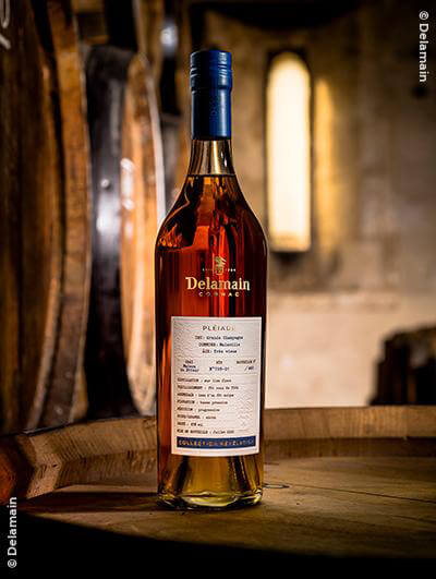 Delamain : Malaville La Rambaudie Pléiade Collection Révélation