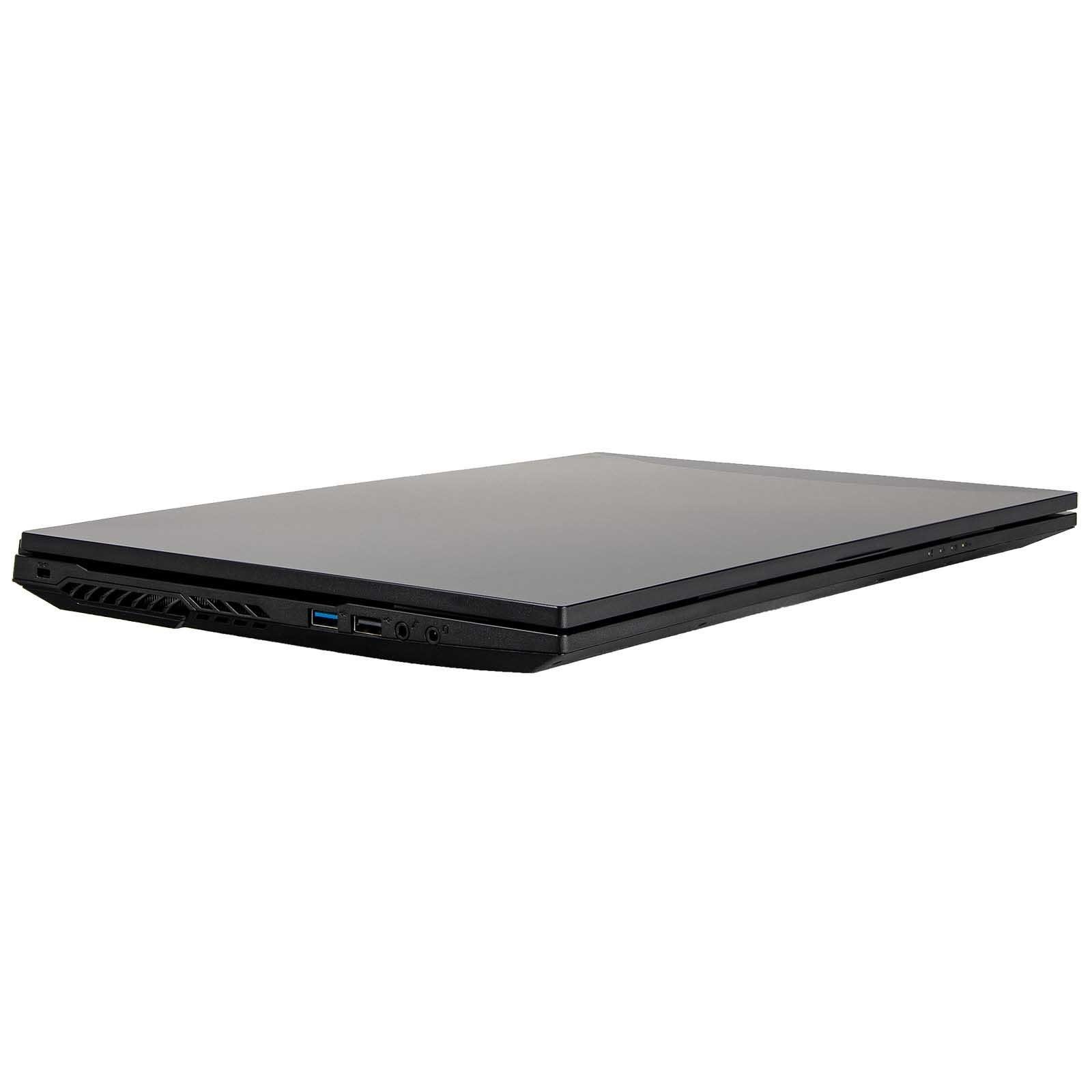 dcl24.de Gaming-Notebook (43,90 cm/17.3 Zoll, Intel Core i5 Intel Core i5-10300H, RTX 3060, 2000 GB SSD)