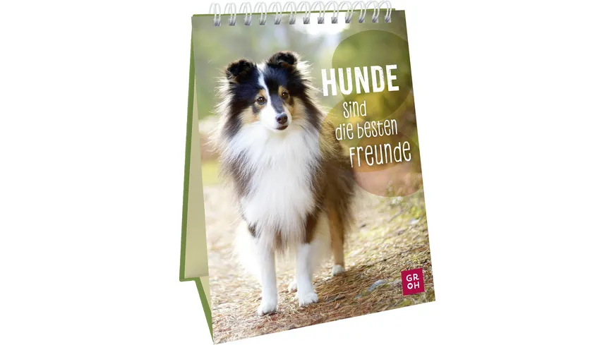 Hunde sind die besten Freunde