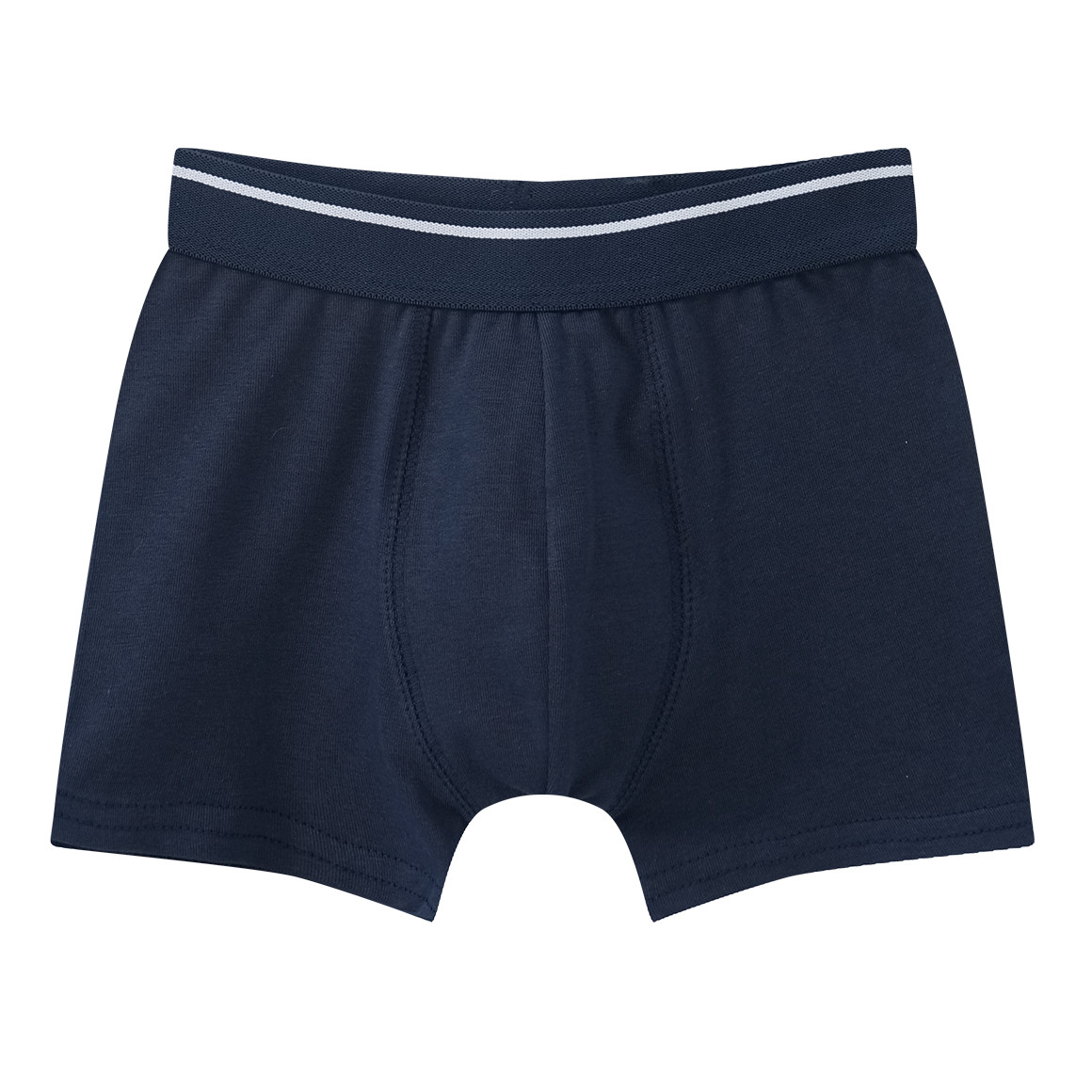 5 Jungen Boxer in verschiedenen Dessins