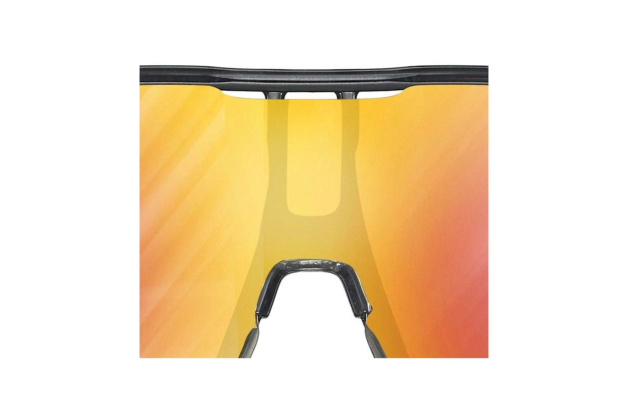 Julbo Density Grau/Irise - Multilayer Gold Rosa