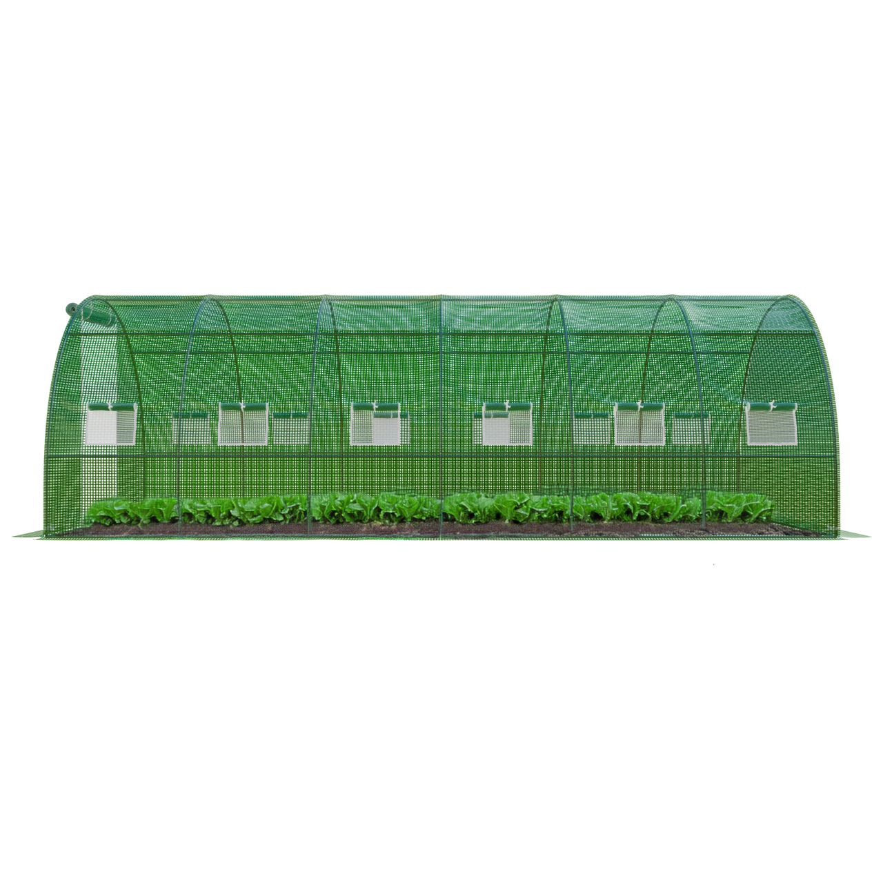 TroniTechnik GARMIO® Foliengewächshaus CARINI, Tomatenzelt, winterfest, 6x3x2m, Frühbeet, Pflanzenhaus