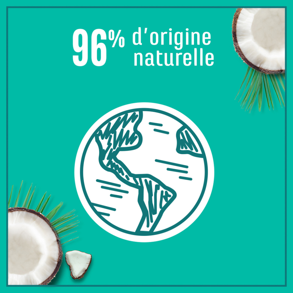 le petit marseillais Masque Hydratation Intense pour Cheveux, Infusion Calendula & Eau de Coco Masque