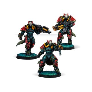 Rodoks, Armed Imposition Detachment Box