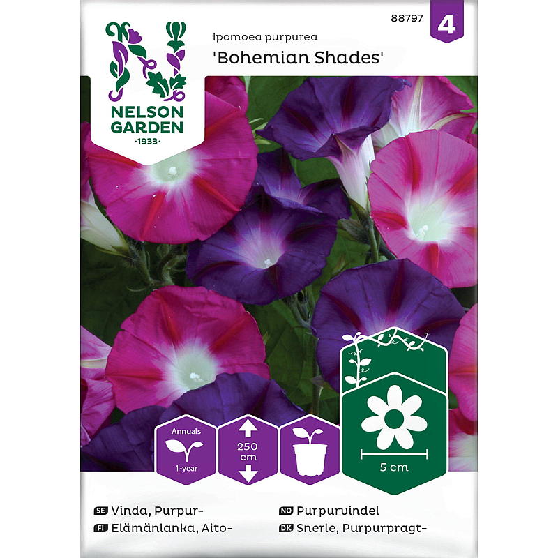Nelson garden Frø Purpurvindel Bohemian Shades