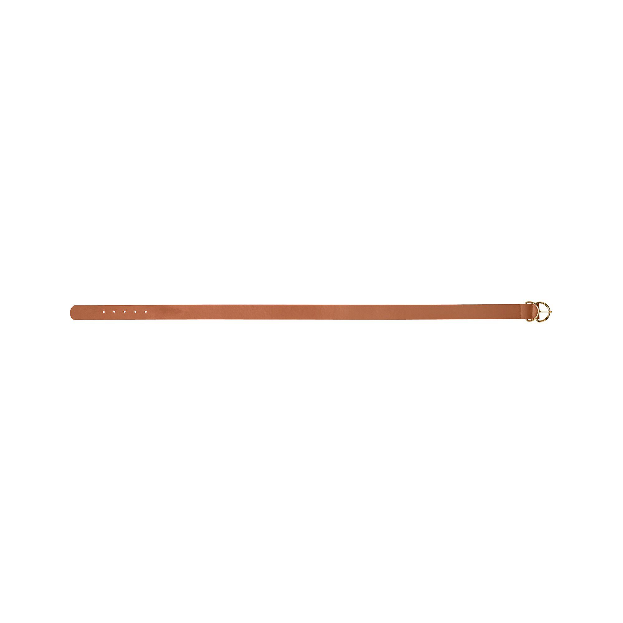 Ceinture fine double boucle