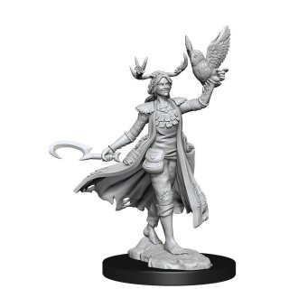D&D Frameworks: Human Druid Female