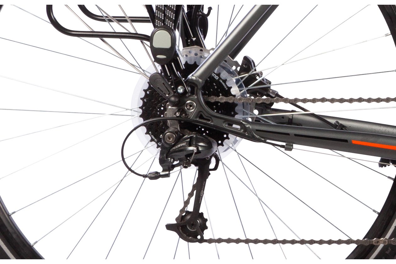 Lakes Free 120 - 2024 - 28 Zoll - Damen Sport