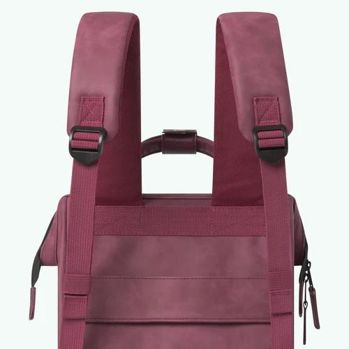 Adventurer Small Delhi backpack, burgundy