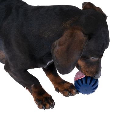 Nomad Tales Bloom Snack-Ball