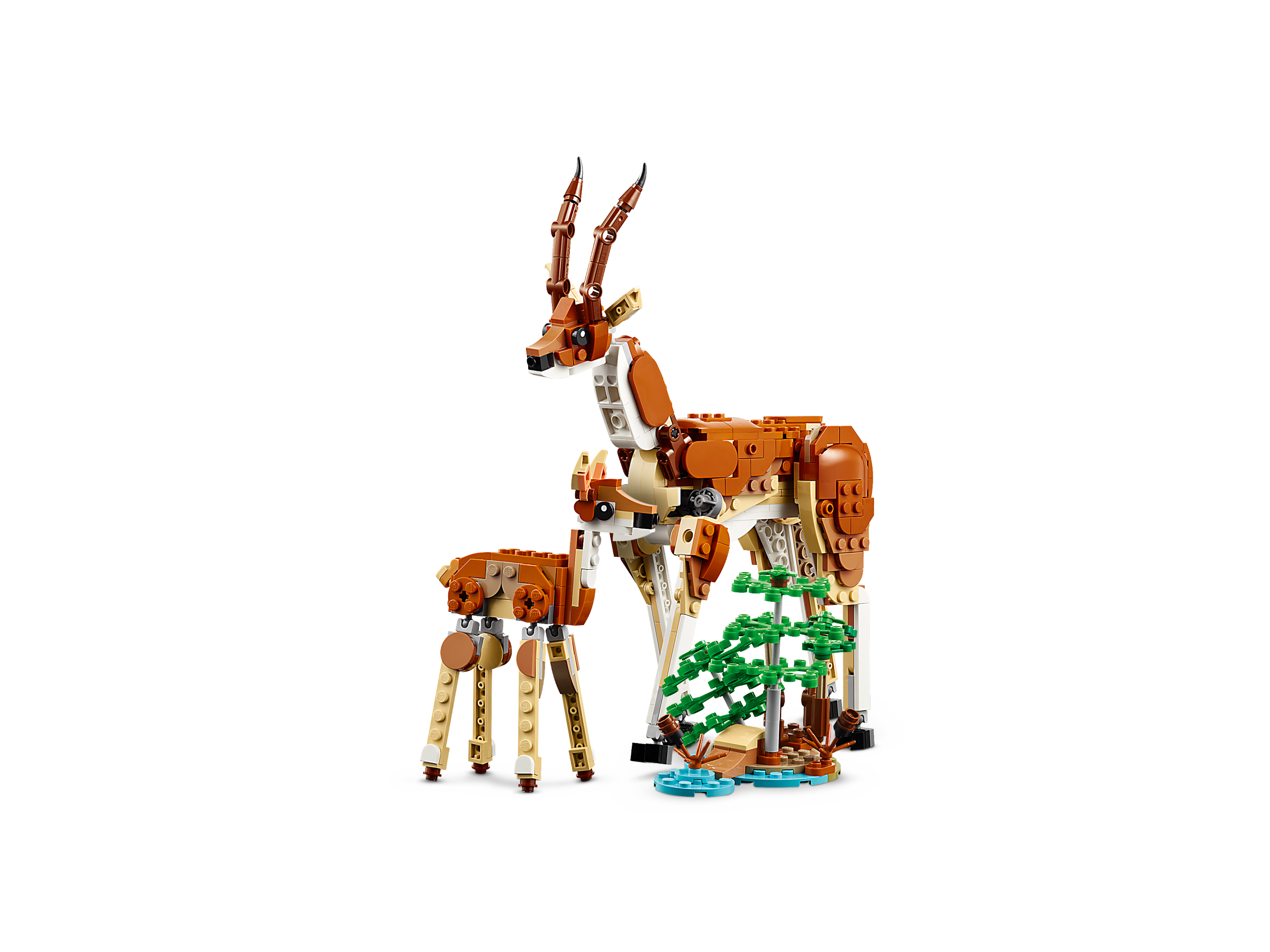 Tiersafari 31150