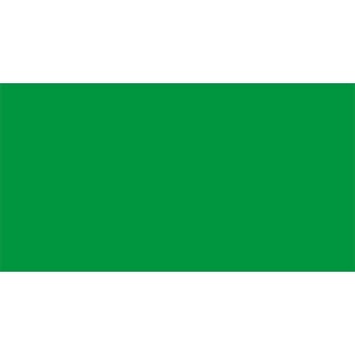 Plain Green BG (160 x 85 cm) 2.0