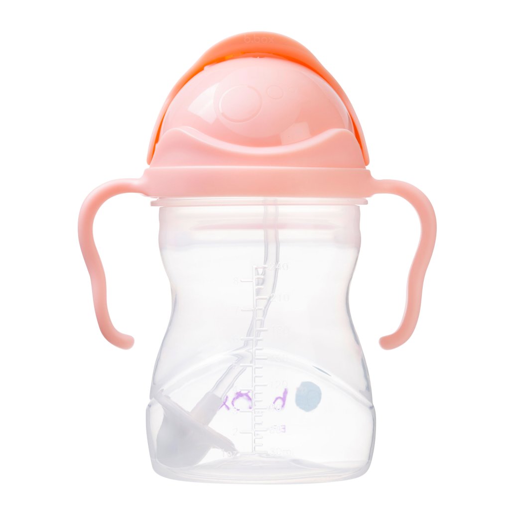 b.box Trinklernflasche mit dynamischen Strohhalm 240 ml – Tutti Frutti Gelato