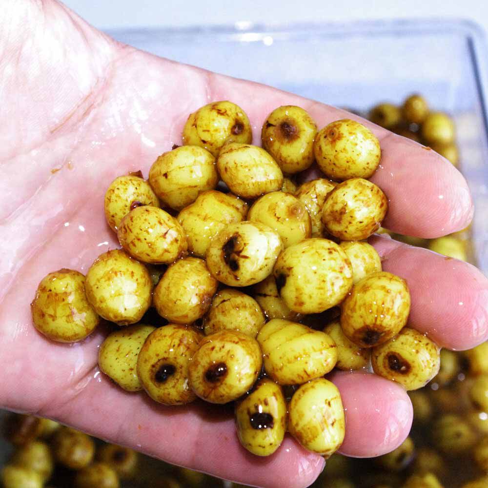 Carp Active Baits Tiger Nuts Jumbo Dry Seeds
