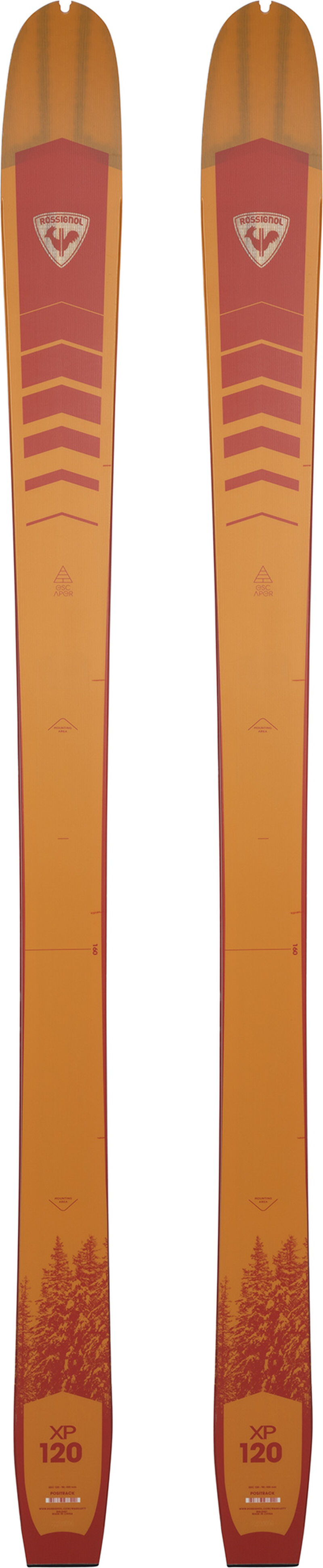 Unisex Nordic Skier XP 120 POSITRACK