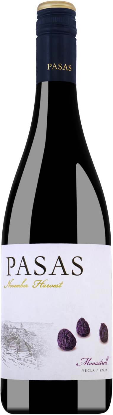 Hammeken Cellars Pasas Monastrell Yecla DO 2021